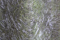 Eastbury fibreglass roof work